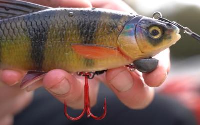 PIKE FISHING LURE TUTORIAL - NORFOLK BROADS