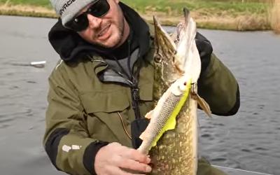 THE COMEBACK FOR SEAN WIT