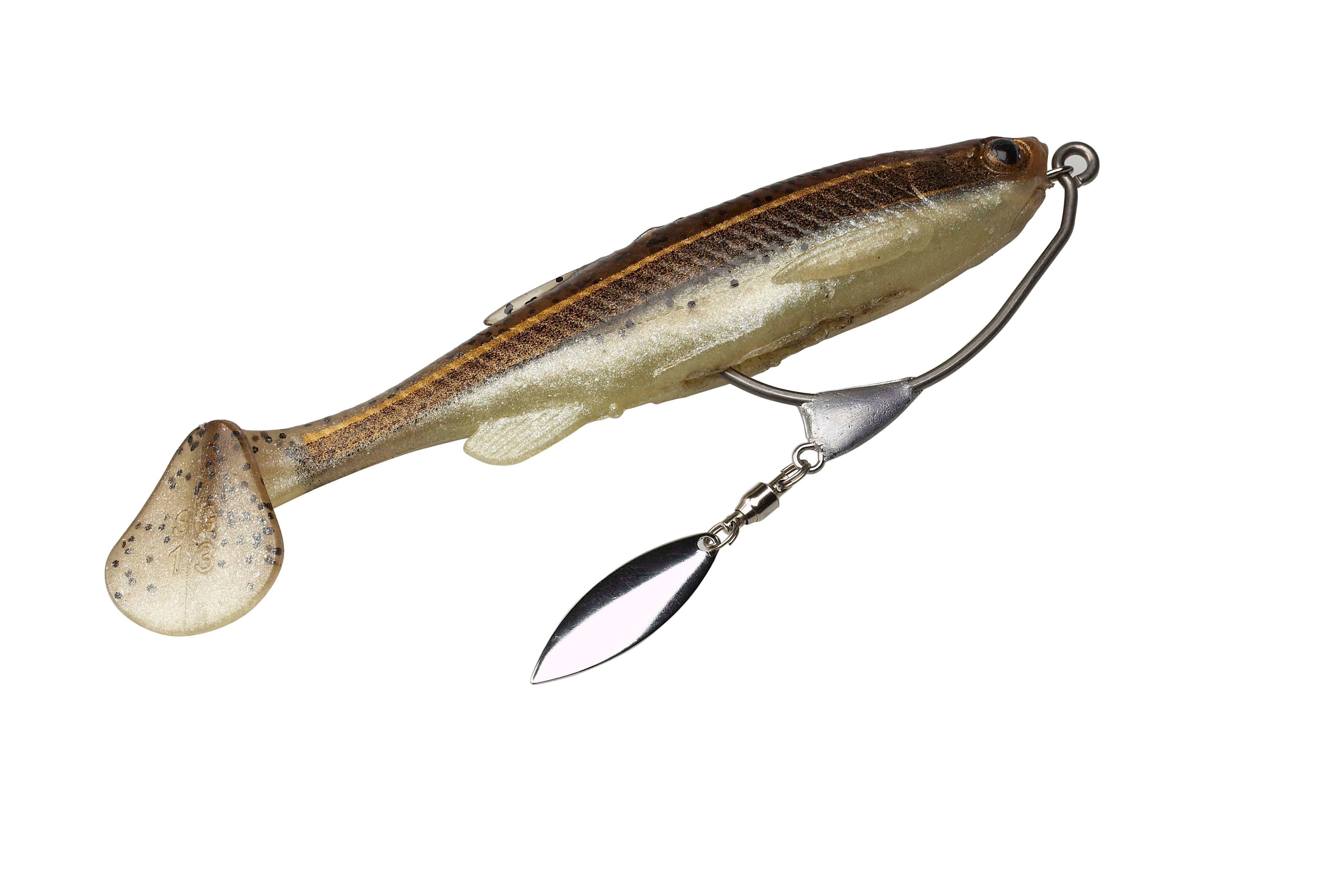 ЏИГ ГЛАВИ СГ