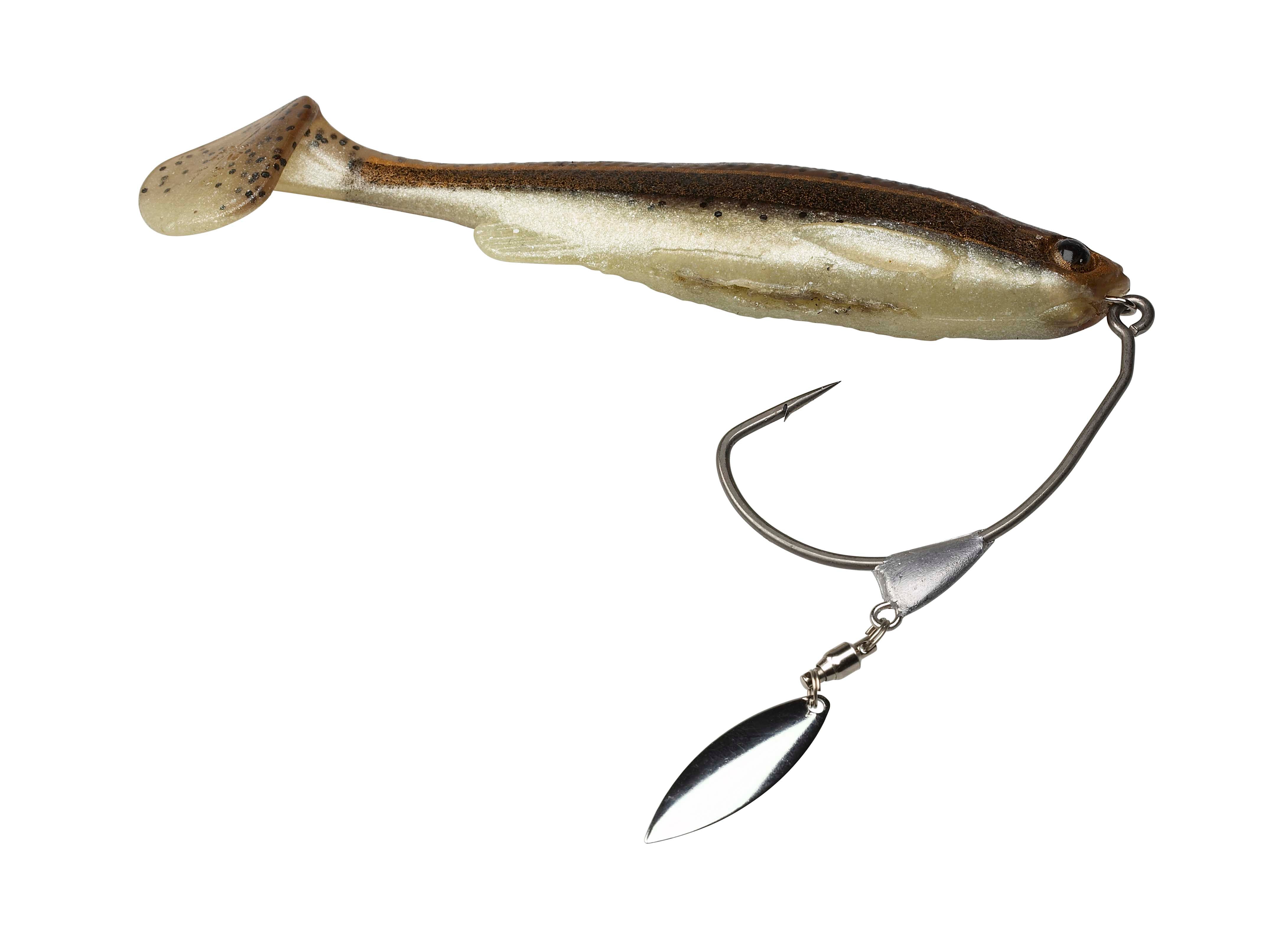 ЏИГ ГЛАВИ СГ