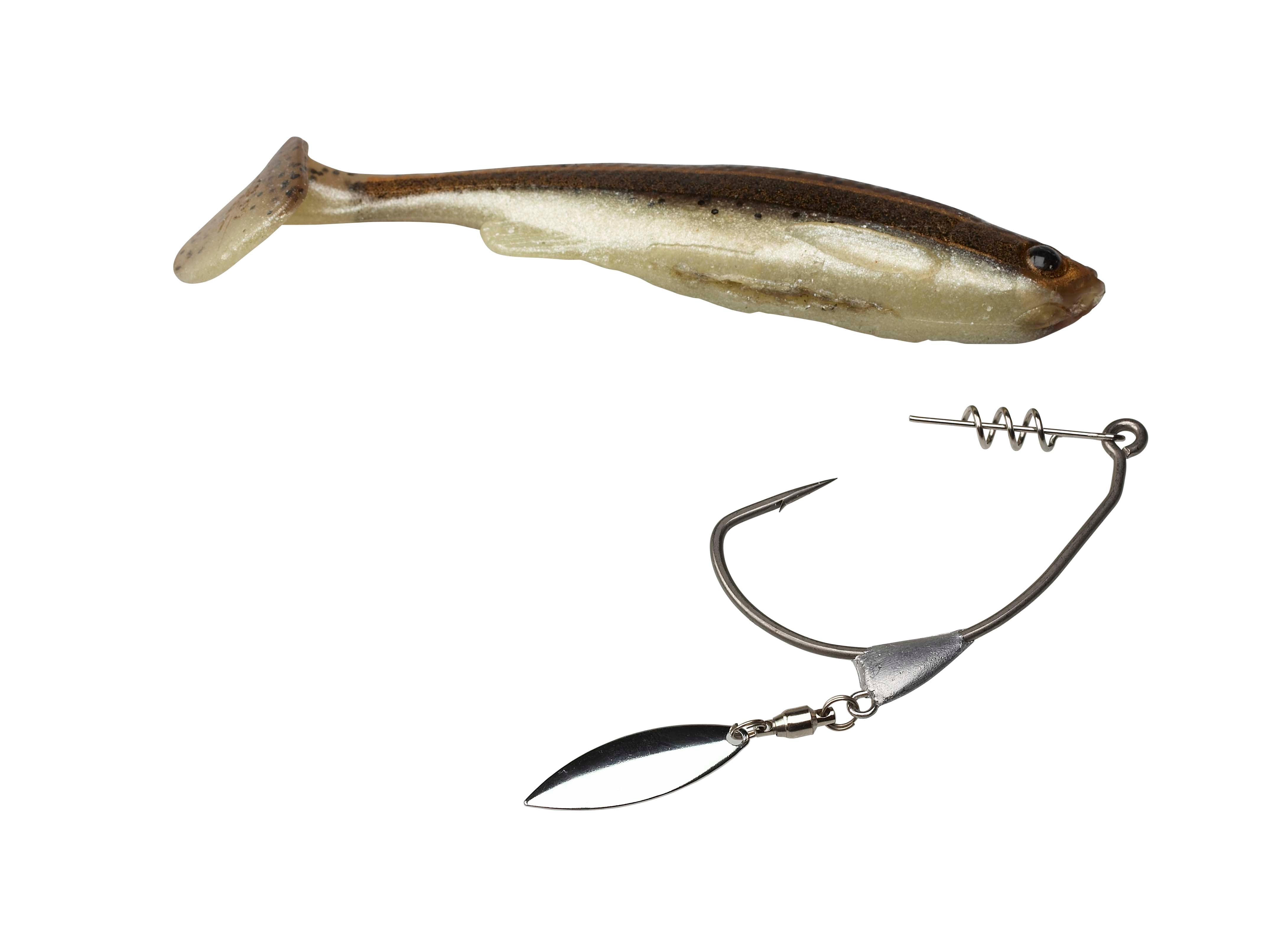 ЏИГ ГЛАВИ СГ