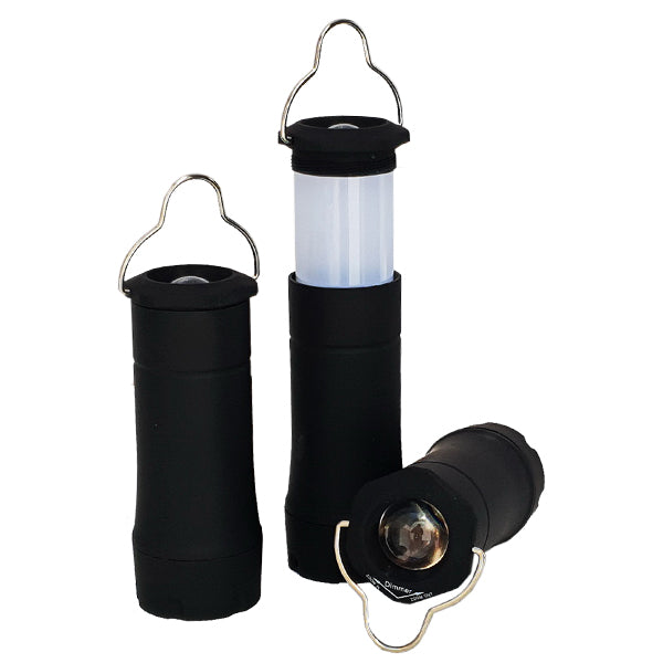 ЛАМБА КАРПОЛОГИЈА ЛЕД